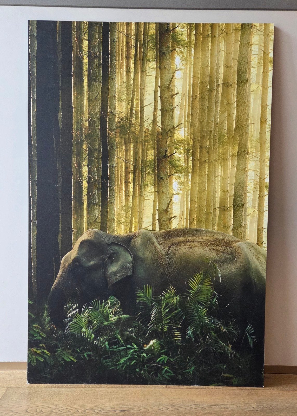 Aluminium Schilderij Olifant in jungle

Materiaal
Aluminium, Ophalen, Zo goed als nieuw, Schilderij, 75 – 100