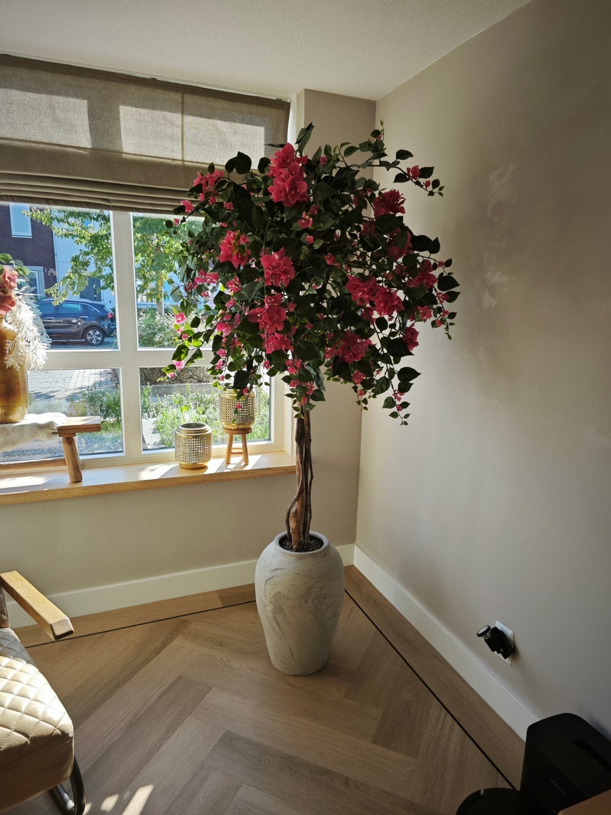 Prachtige kunst Bougainvillea boom met pot, Ophalen, Binnen, Roze, Met pot of vaas