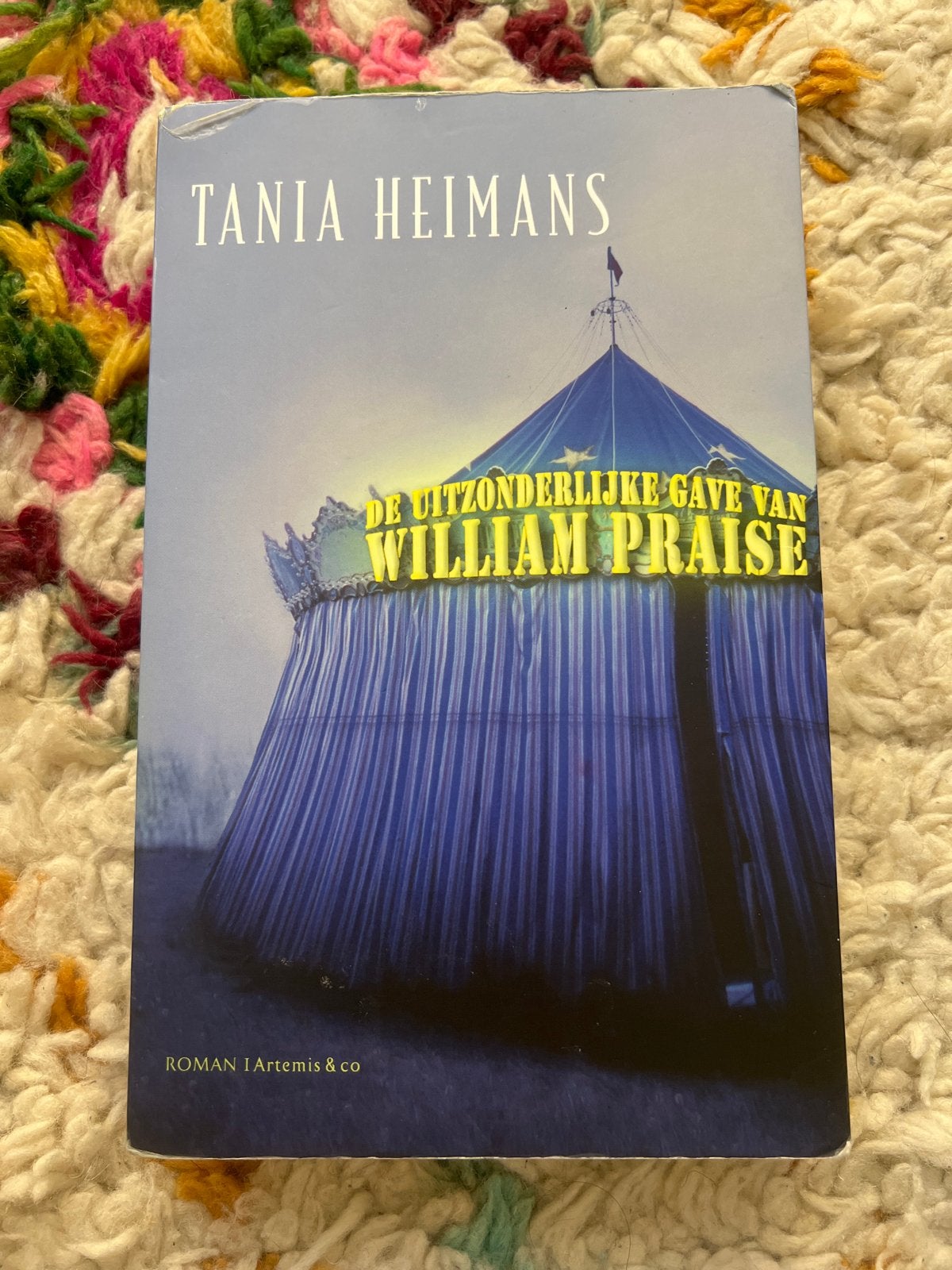 De Uitzonderlijke Gave van William Praise - Tania Heimans, Ophalen of Verzenden, Zo goed als nieuw, Nederland
