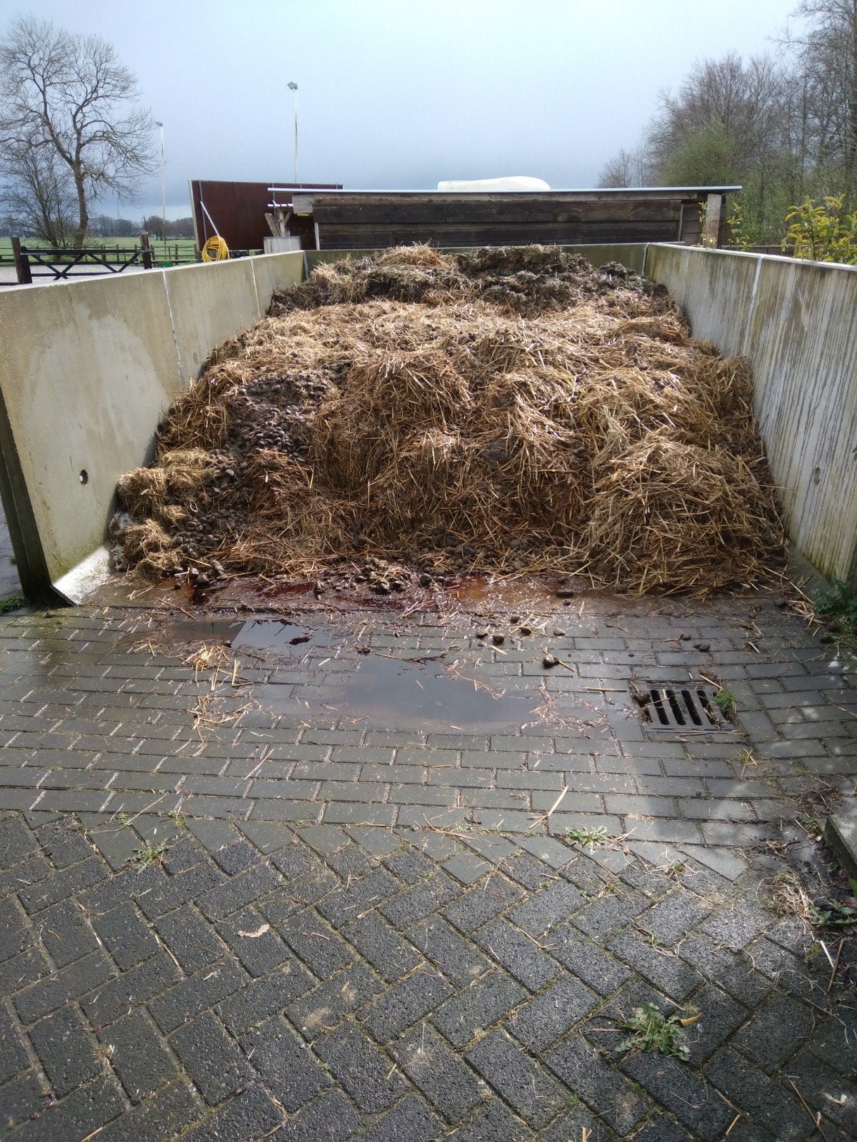 Verse mest voor uw tuin of composthoop, Tuin en Terras, Aarde en Mest, Ophalen, Mest