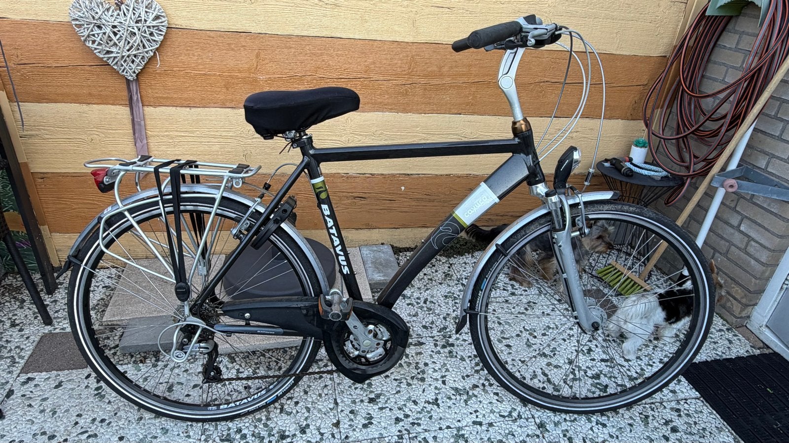 Batavus Cayuca herenfiets - Gebruikt, Goede Staat, Ophalen, Gebruikt, Velgrem, Versnellingen