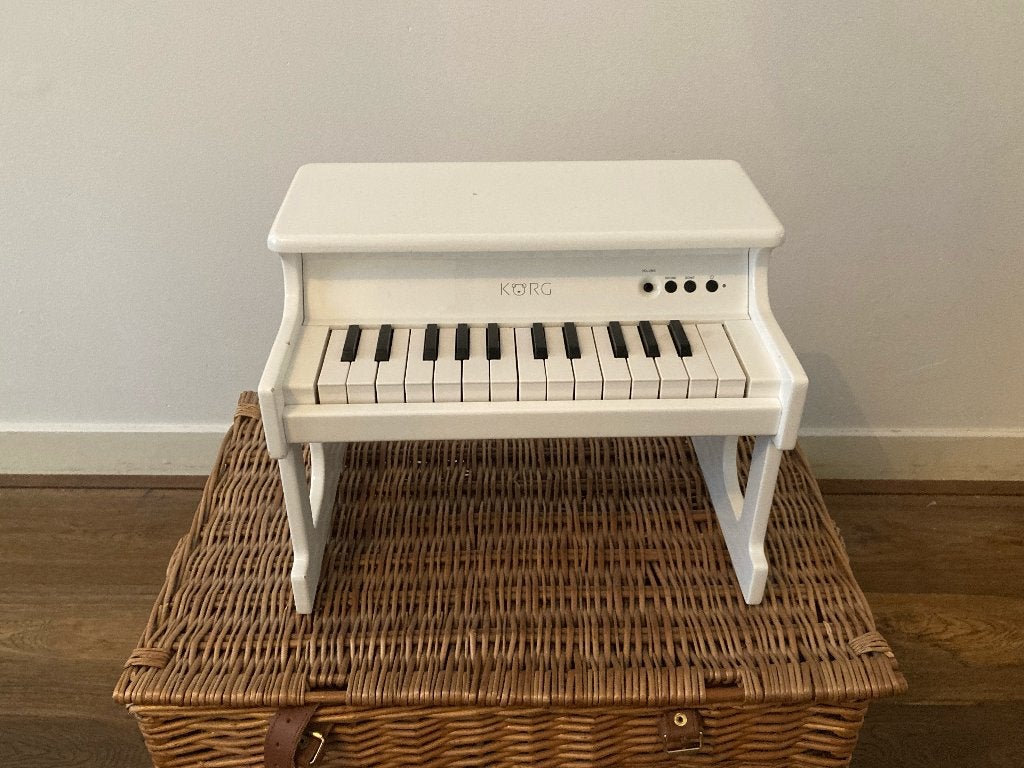 Korg tinyPIANO wit, Gebruikt, Wit, Ophalen of Verzenden, Digitaal