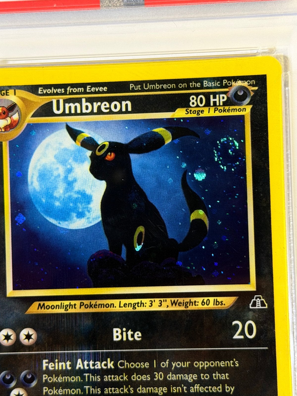 Umbreon Neo Discovery 13 | PSA 8 | Swirl