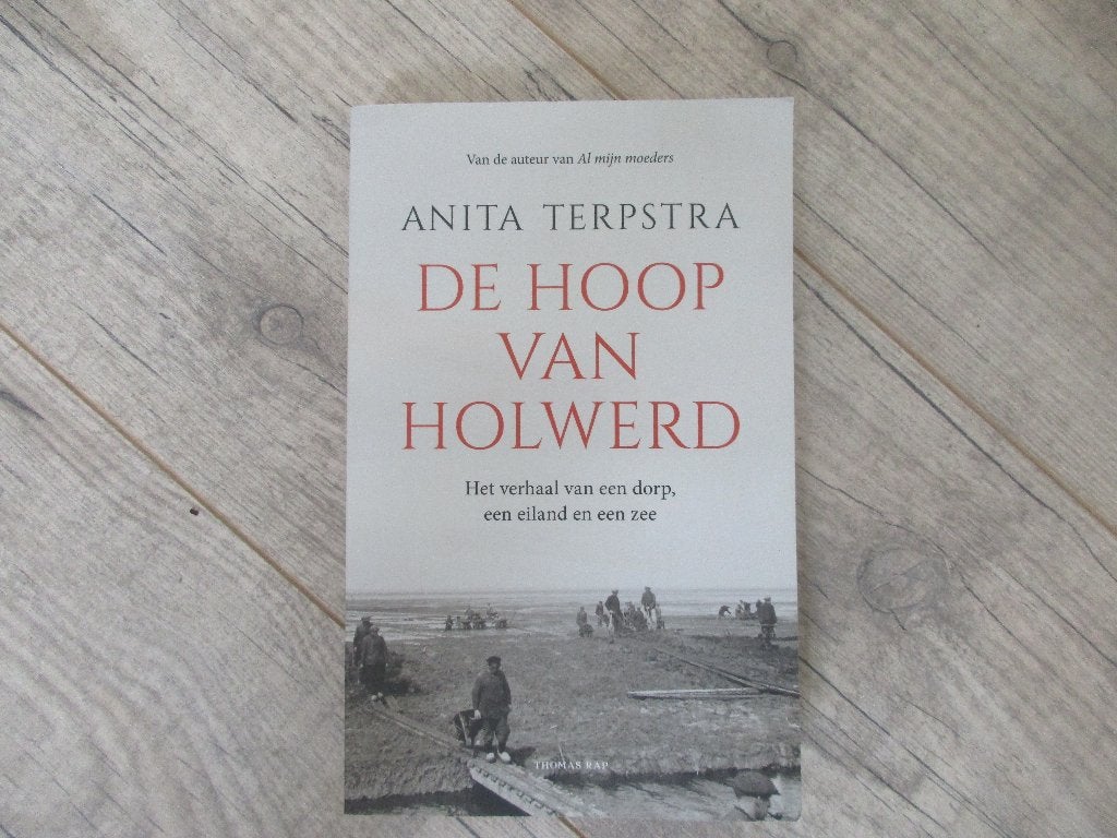 De hoop van Holwerd, Boeken, Ophalen of Verzenden, Zo goed als nieuw
