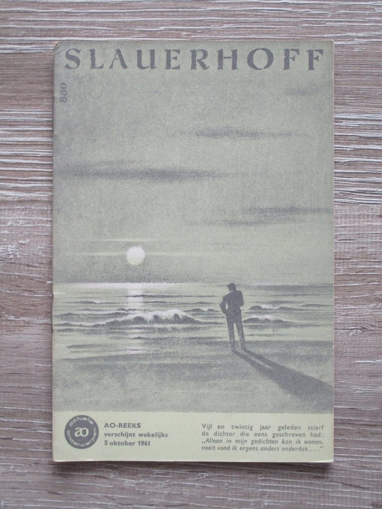 AO 880 Slauerhoff, Boeken, Ophalen of Verzenden, Gelezen, Europa