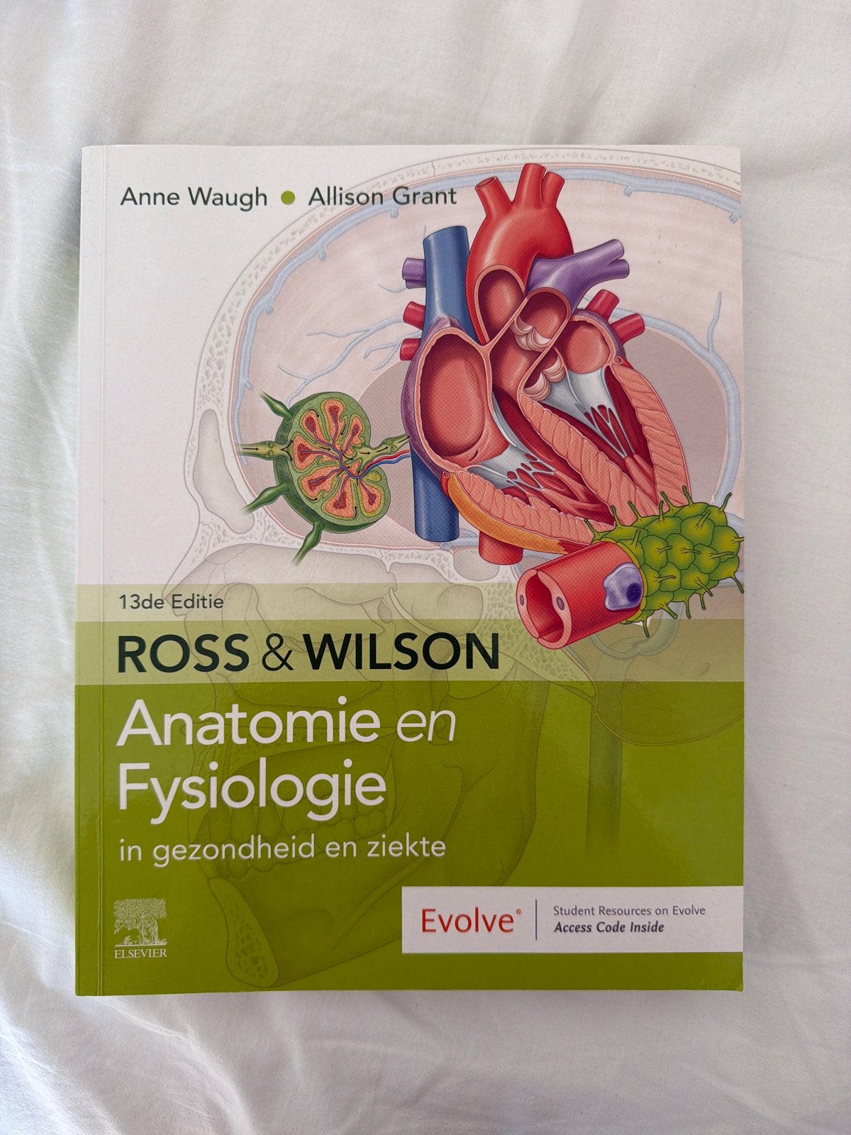 Ross & Wilson Anatomie en Fysiologie - 13e editie, Boeken, Ophalen of Verzenden, Beta, Nieuw, HBO