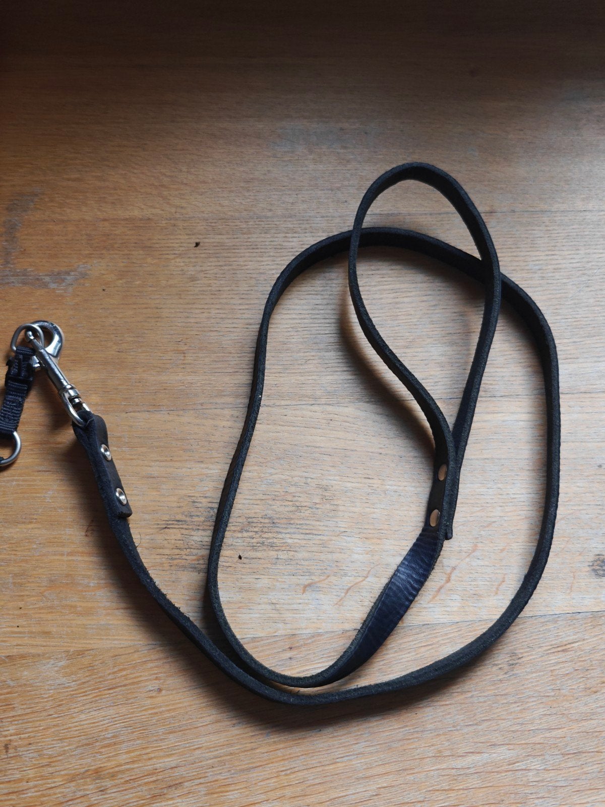 Leren riem met puppy tuigje, Dieren en Toebehoren, Honden-accessoires, Ophalen, Gebruikt
