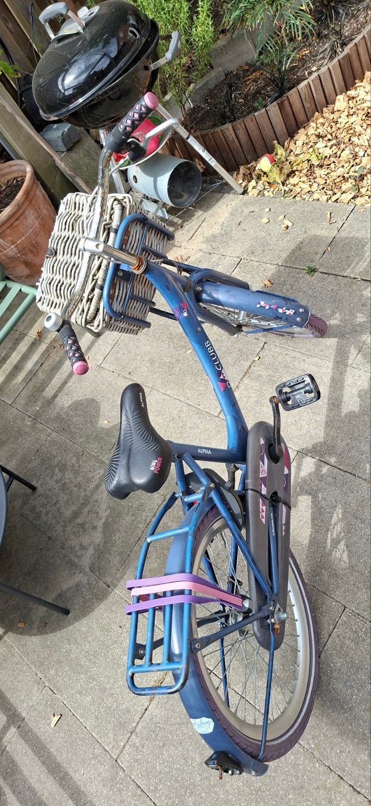 Alpina Clubb 20 inch meisjes fiets met mand, Ophalen, Terugtraprem, Alpina Clubb, Gebruikt