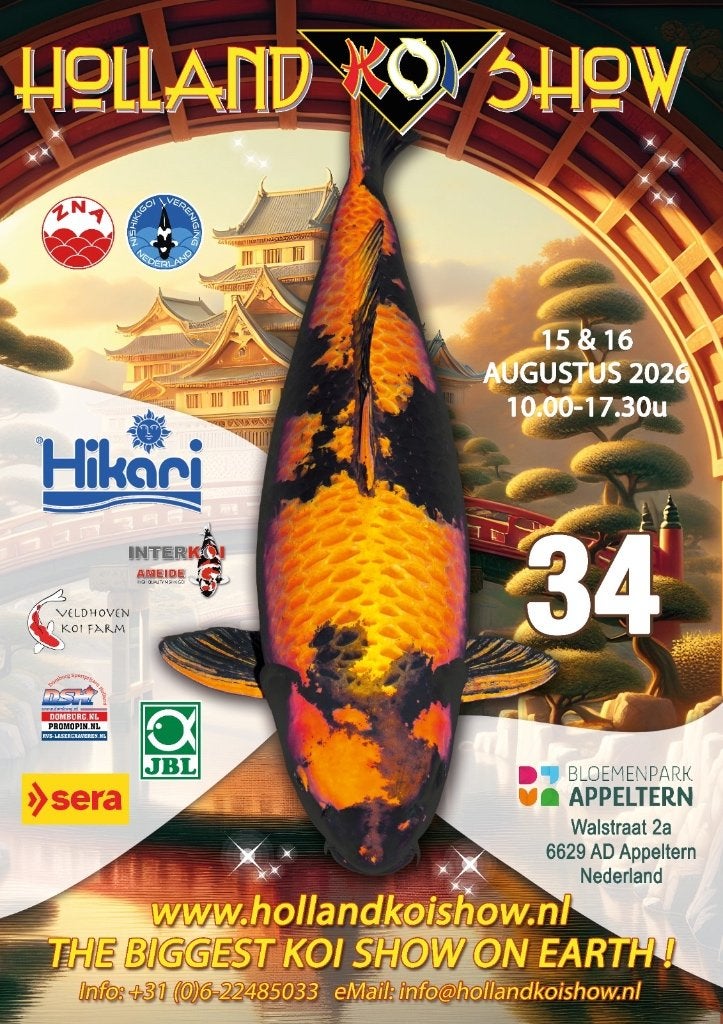 koi show, Karper of Koi