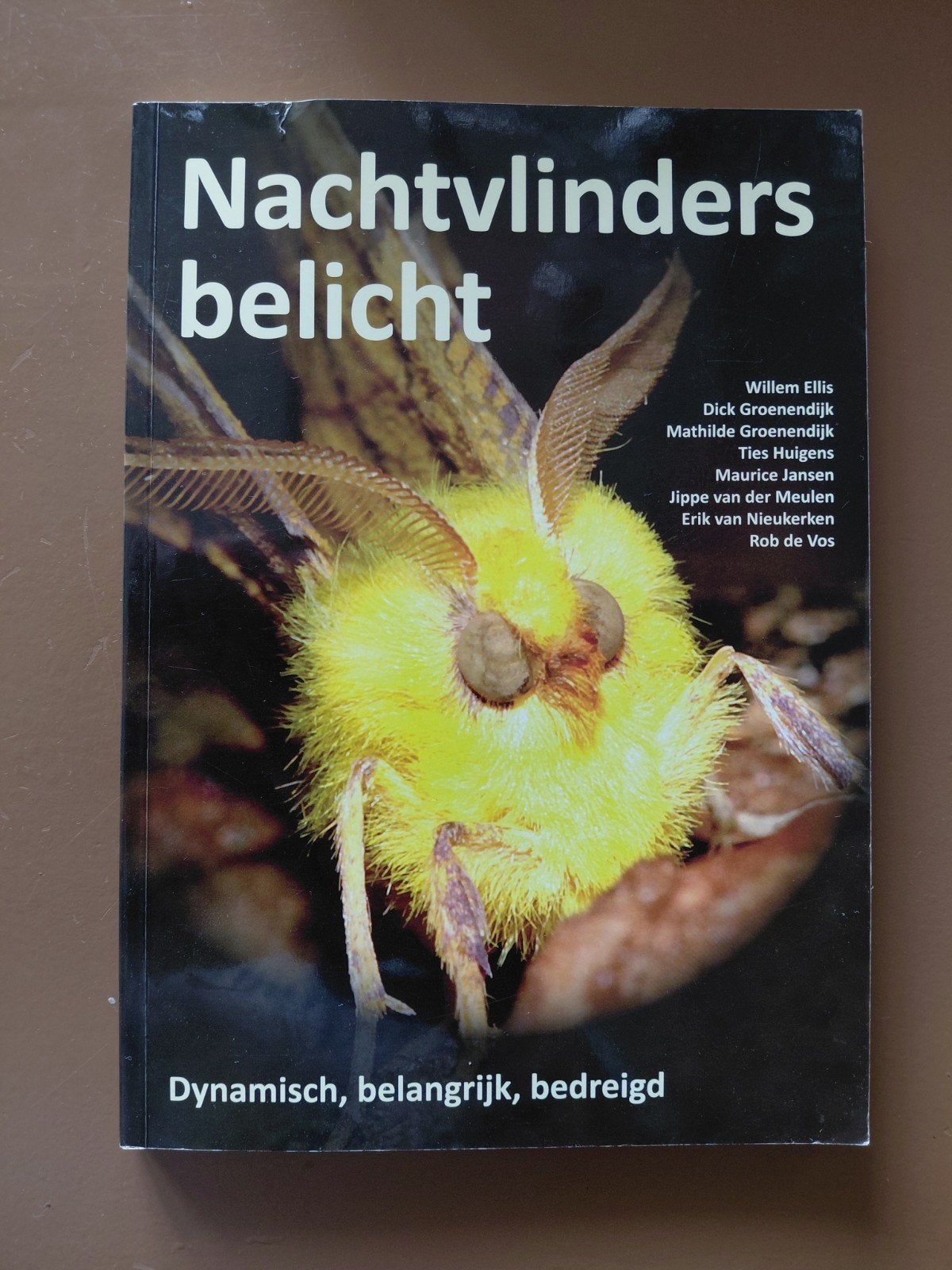 Nachtvlinders belicht. Willem Ellis e.a. Vlinderstichting., Ophalen of Verzenden, Zo goed als nieuw, Willem Ellis e.a., Overige onderwerpen
