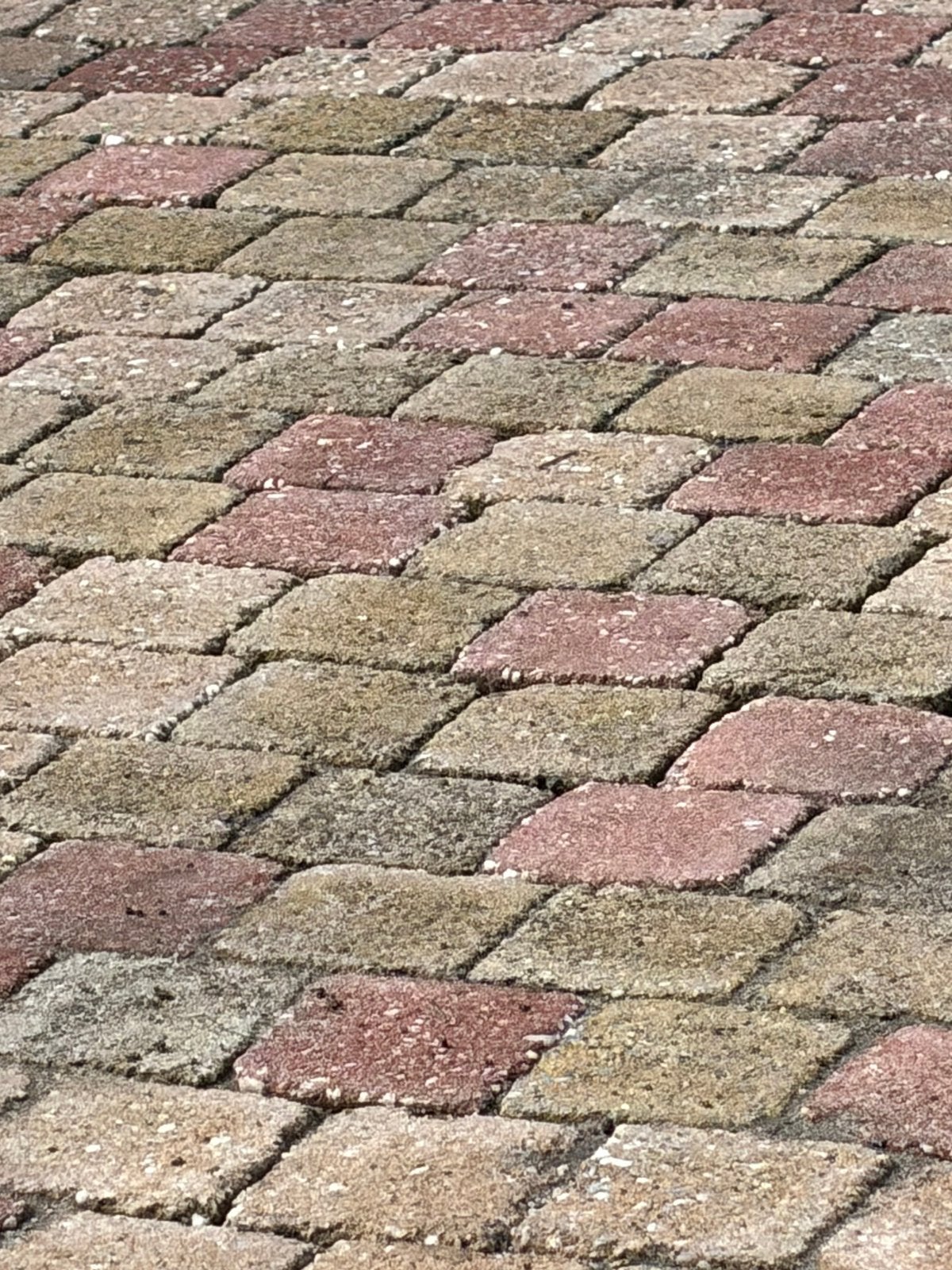 GRATIS koppelstones 10x10x6 cm–ca. 10 m² –direct af te halen, Tuin en Terras, Ophalen, Zo goed als nieuw, Beton, Klinkers