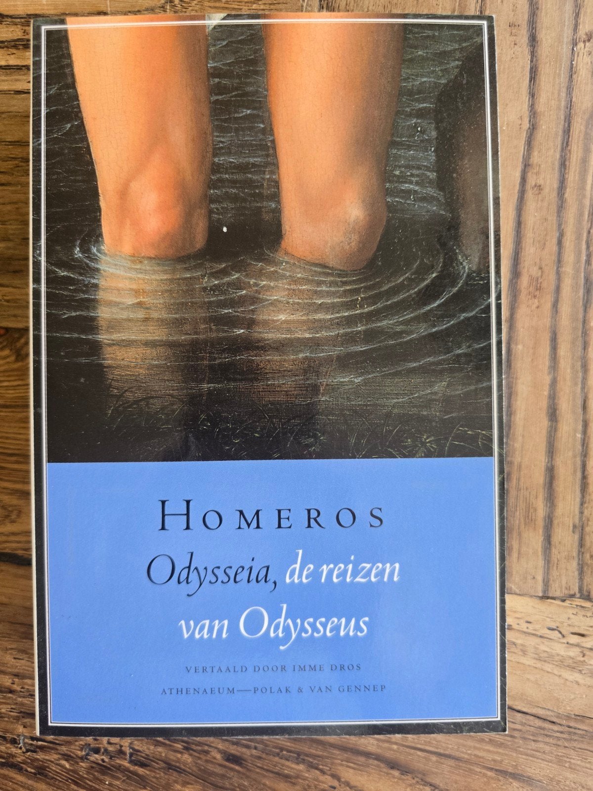 Odysseia, de reizen van Odysseus - Homerus, Ophalen of Verzenden, Zo goed als nieuw, Homerus, Europa overig
