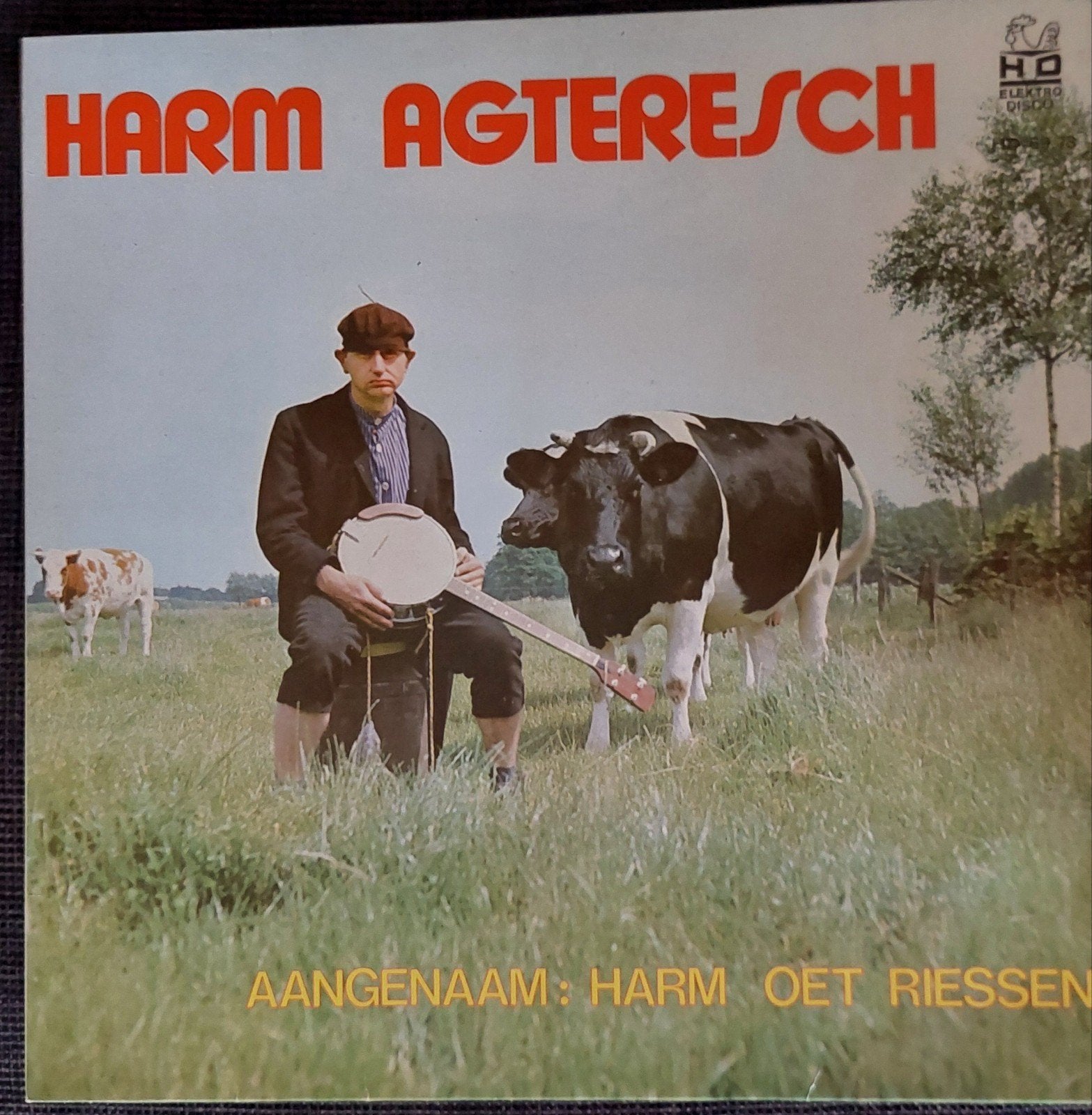 lp harm Achteresch, Ophalen of Verzenden, Gebruikt, 12 inch