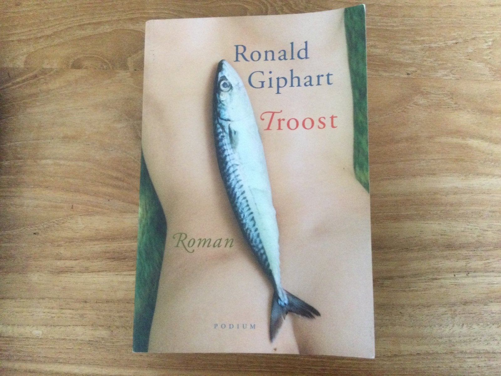 Ronald Giphart, Troost, Ophalen of Verzenden, Gelezen, Nederland