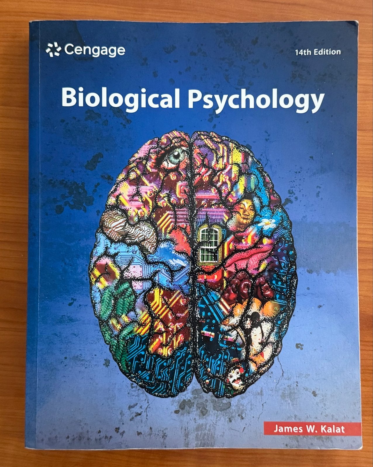 Biological Psychology 14e - James W. Kalat (Cengage), Ophalen of Verzenden, Gamma, Zo goed als nieuw, HBO