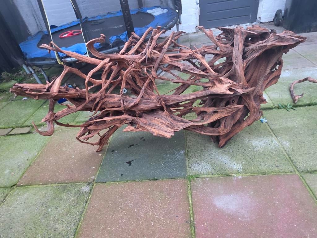 Kienhout voor aquarium, Ophalen, Gebruikt, Plant(en), Steen of Hout