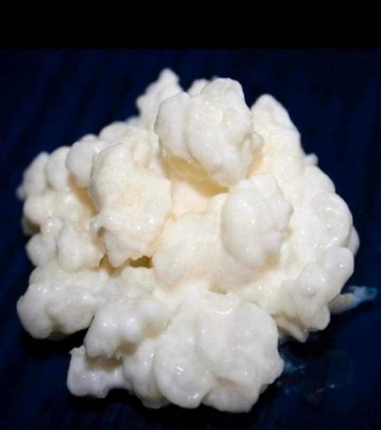 Bio Kefir korrels., Ophalen