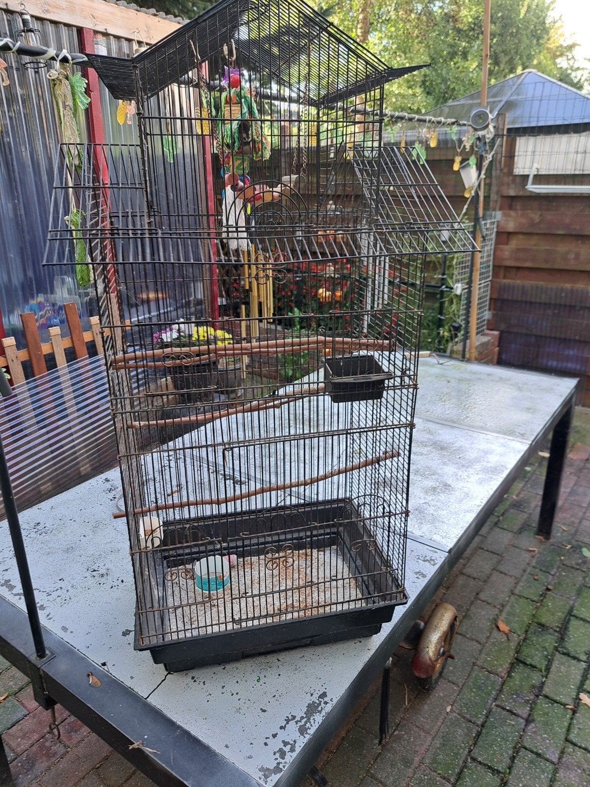 grote vogelkooi voor zebra vinken of kanarie, Dieren en Toebehoren, Ophalen of Verzenden, Metaal, Vogelkooi