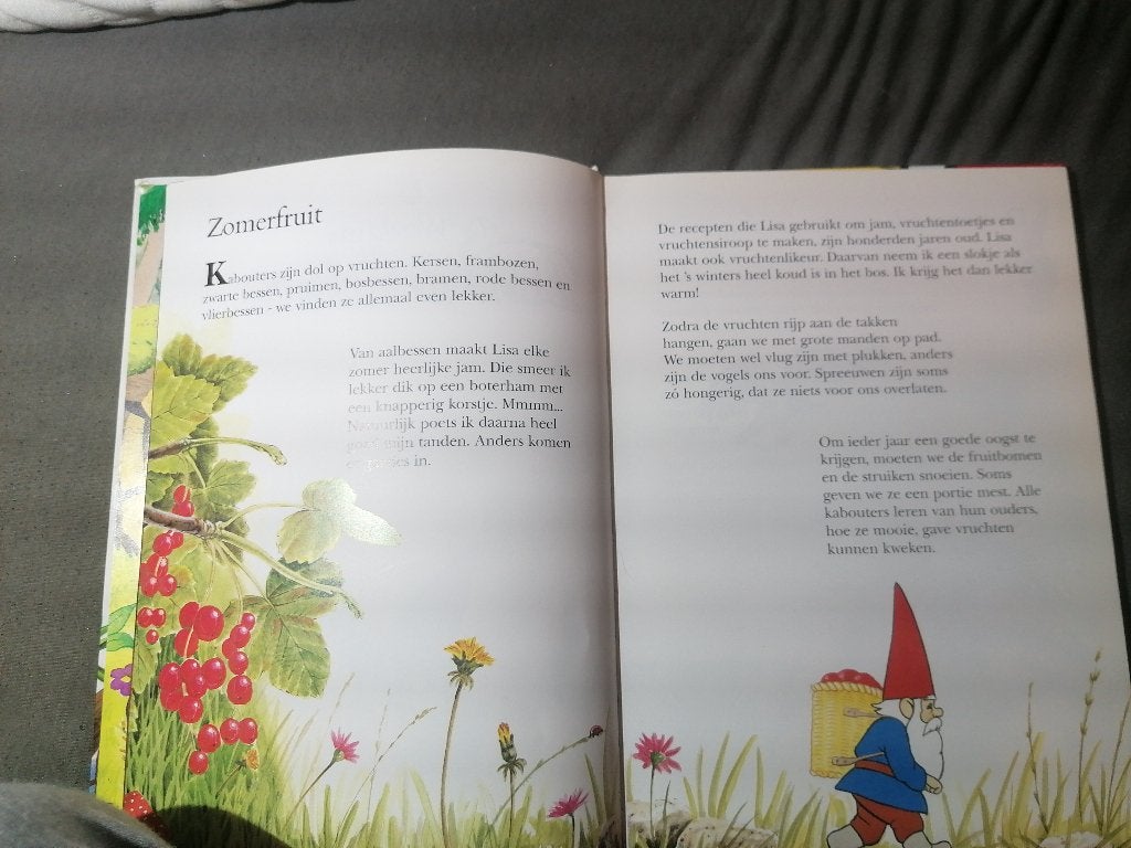 De wereld van David de kabouter, Boeken, Ophalen, Zo goed als nieuw, Sprookjes, Wil Huygen