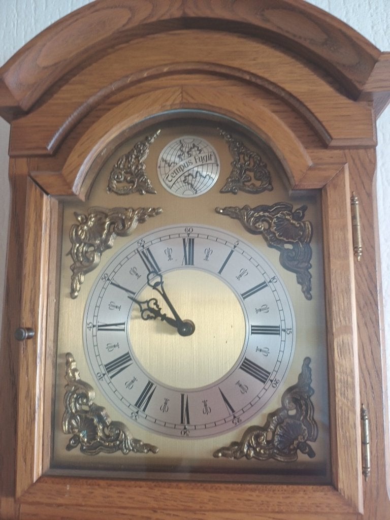 Tempus Fugit Friese staartklok - restauratieproject, Ophalen, Gebruikt, Analoog, Wandklok