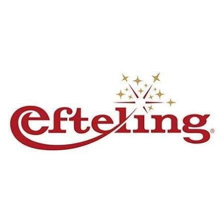 1 Efteling ticket, Eén persoon, Overige soorten, Pretpark