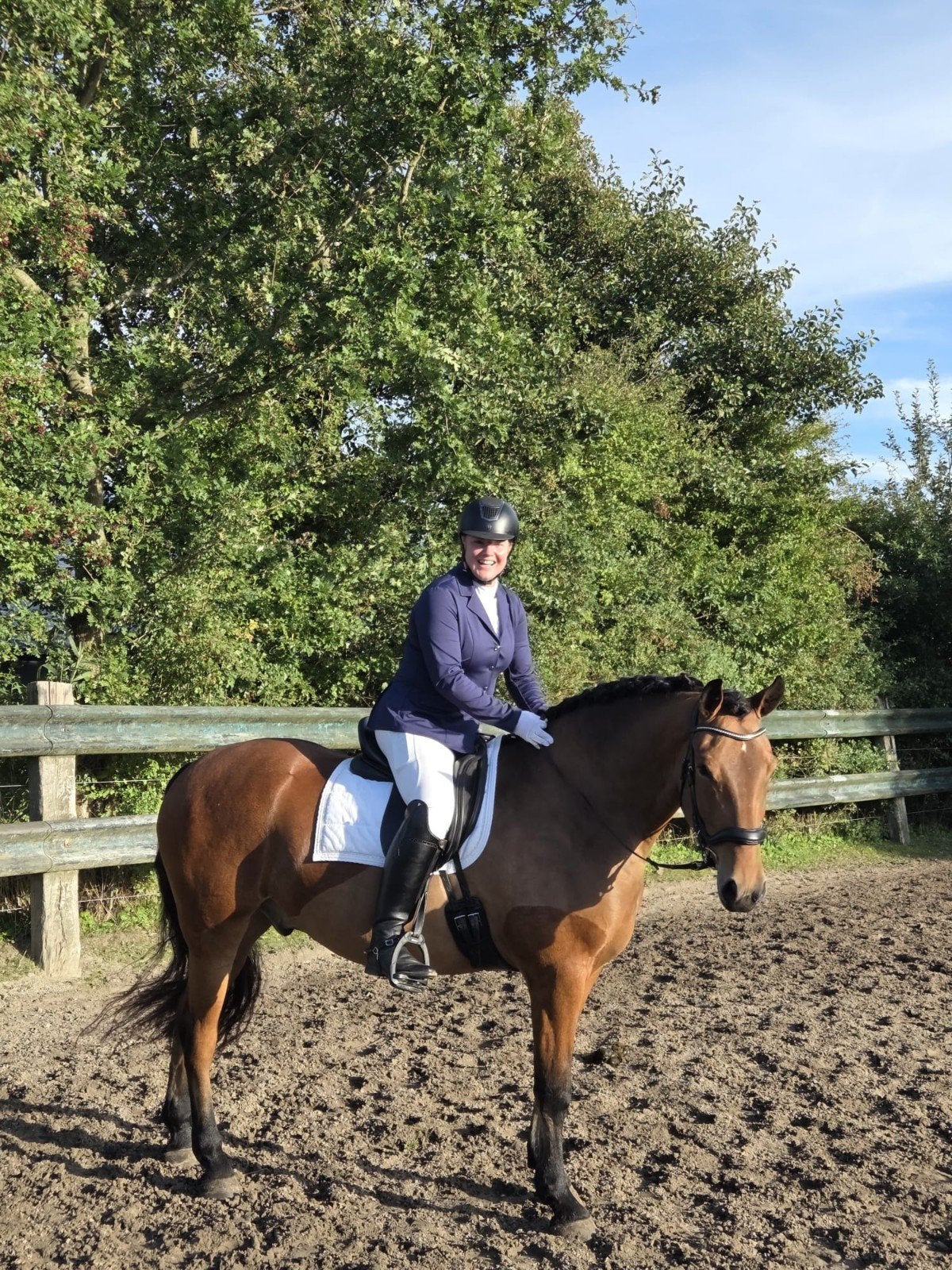 Fries x haflinger te koop, Dieren en Toebehoren, Gechipt, Ruin, 3 tot 6 jaar, L