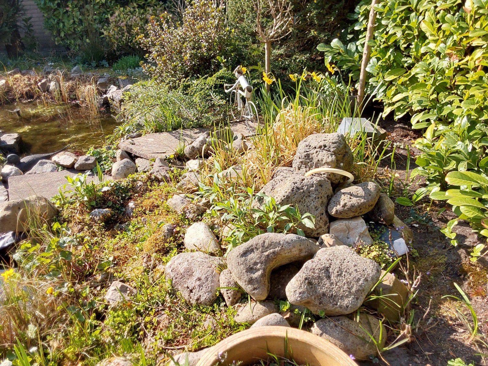 Vijverstenen en waterlelie vijverplanten te koop, Ophalen, Gebruikt
