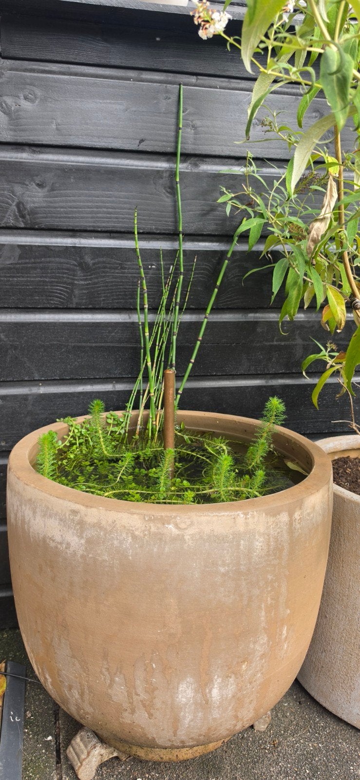 Grote bloempot met fontein op zonne-energie en planten., Ophalen, Overige materialen, 40 cm of meer, Rond