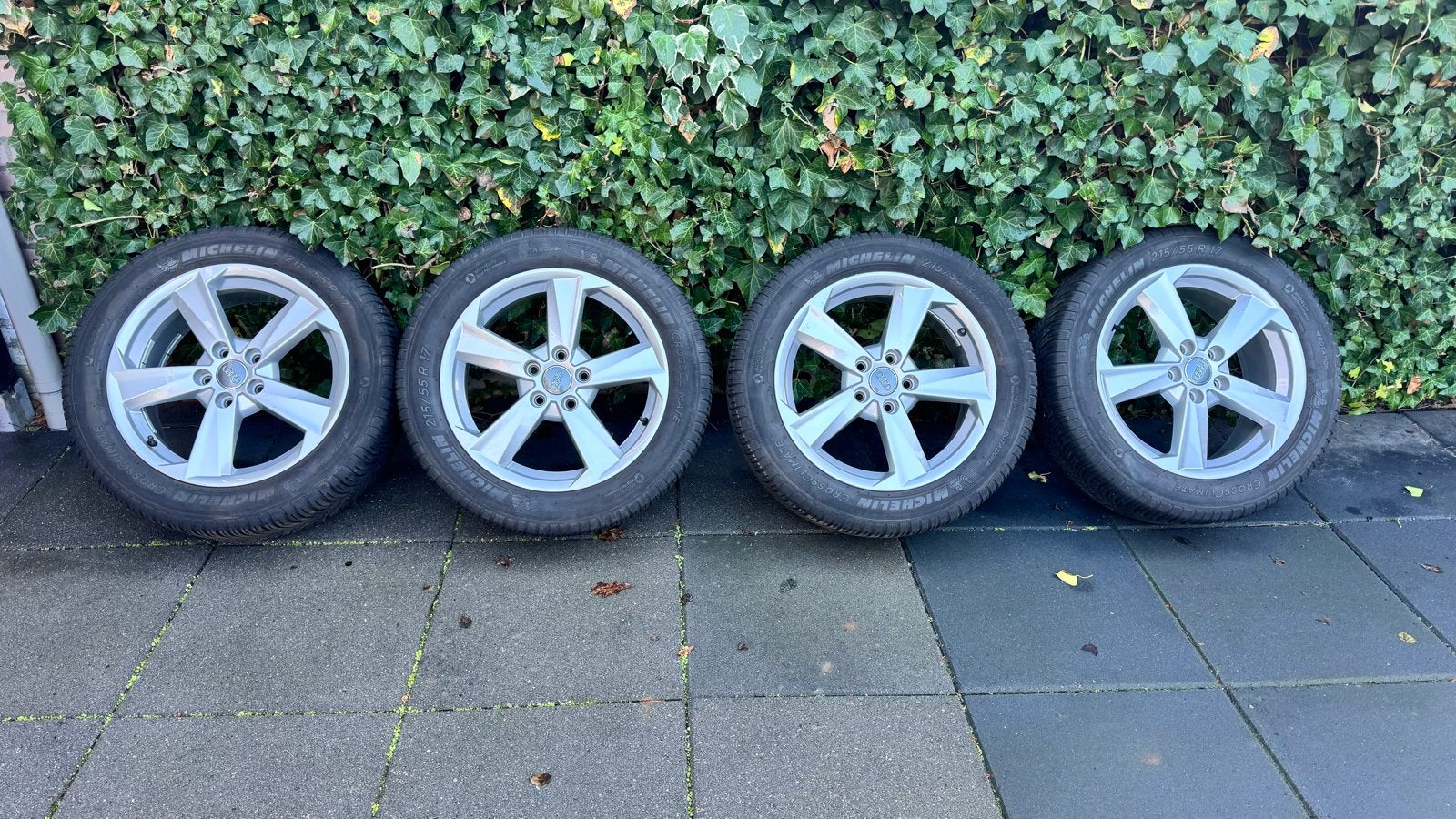 Audi 17 inch velgen met Michelin CrossClimate banden, Auto-onderdelen, Ophalen, Banden en Velgen, 17 inch, All Season