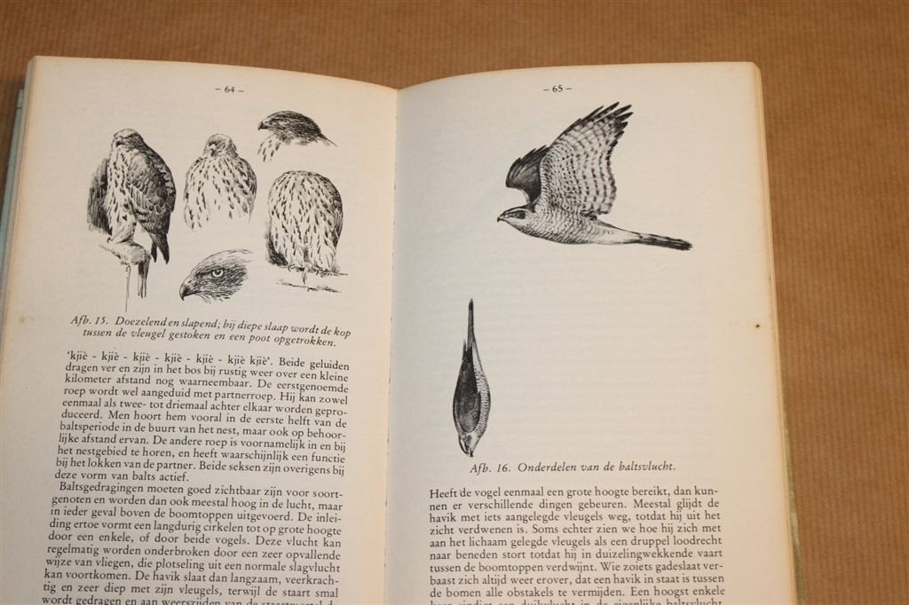 De Havik — Paul Opdam [Dieren Dichterbij - Gebonden], Ophalen of Verzenden, Gelezen, Katten