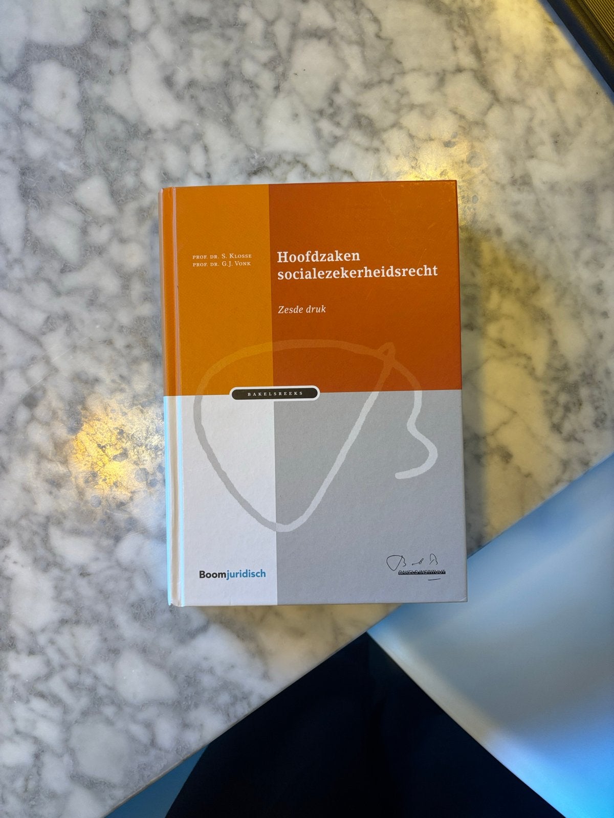 NIEUW Hoofdzaken Socialezekerheidsrecht - Zesde Druk, Ophalen of Verzenden, Gamma, Nieuw, WO