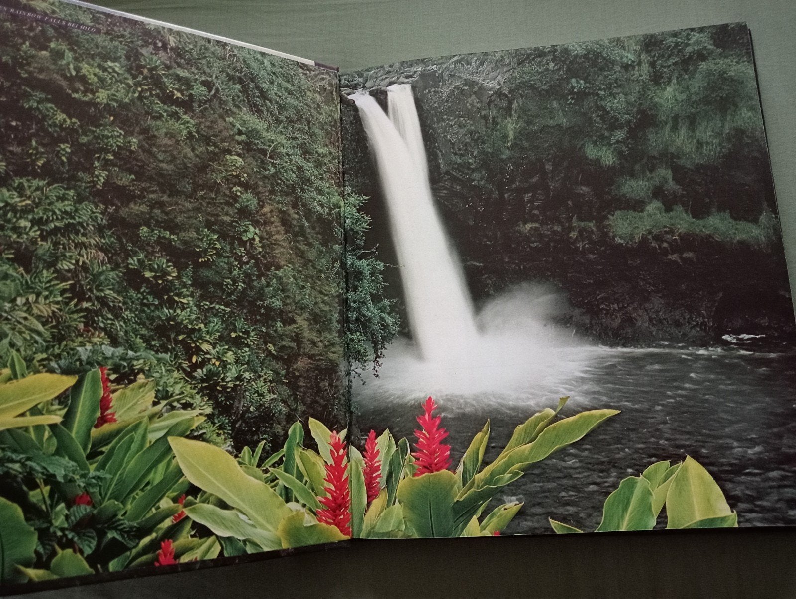 Hawaii: Die Wildnisse der Welt - Time-Life Boeken, Ophalen of Verzenden, Gelezen, Natuur algemeen, Time-Life Boeken