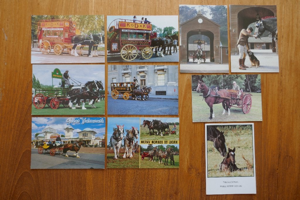 10x ansicht Koudbloed Shire Werkpaard Rijtuig Engeland Koets, Ophalen of Verzenden, 1980 tot heden, Ongelopen, Paard