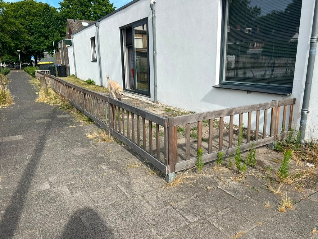 Compleet houten tuinhek - zware kwaliteit, Tuin en Terras, Ophalen, Met poort, Gebruikt, Tuinhek