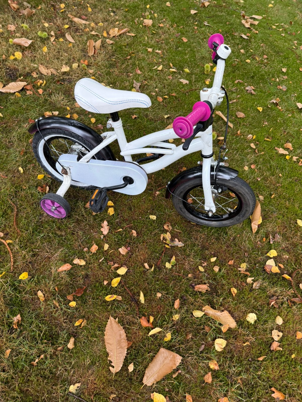 Mooi 12 inch fietsje met zijwieltjes, Ophalen, Zo goed als nieuw, Minder dan 16 inch, Zijwieltjes