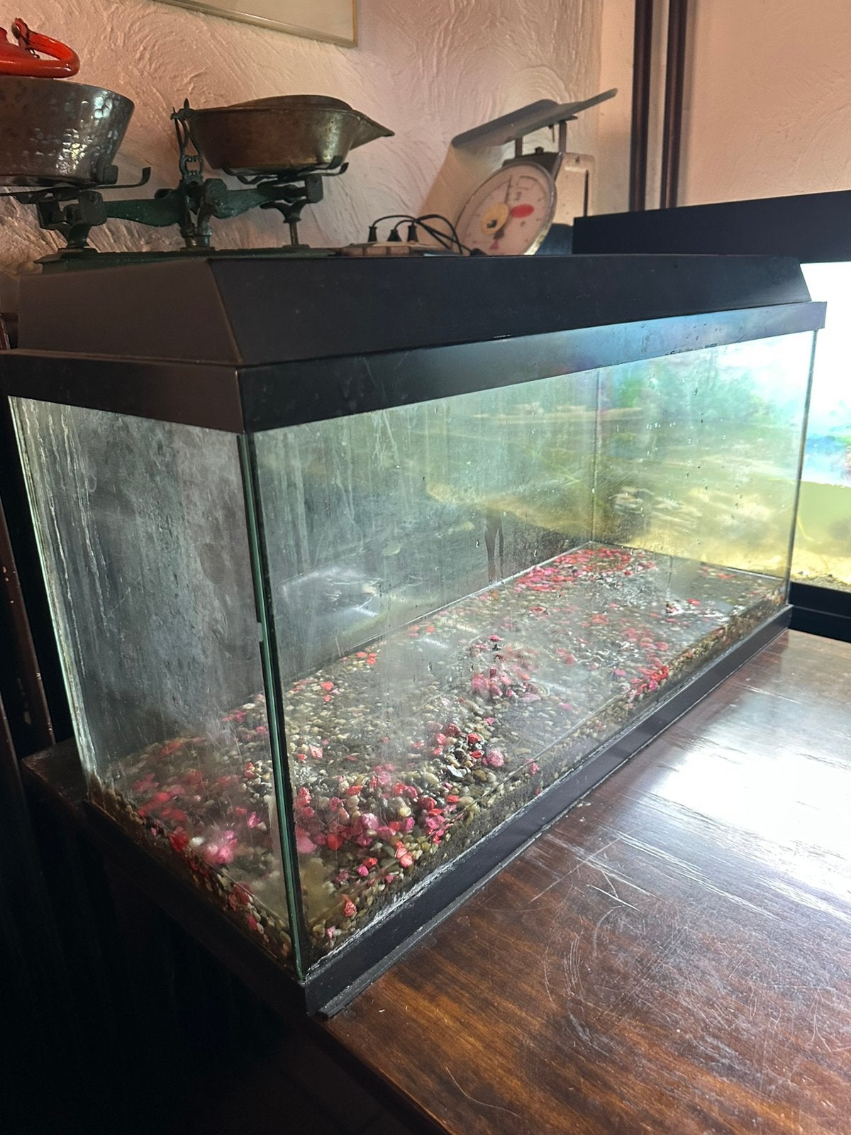 Aquarium 80x40x30, Ophalen, Gebruikt, Leeg aquarium