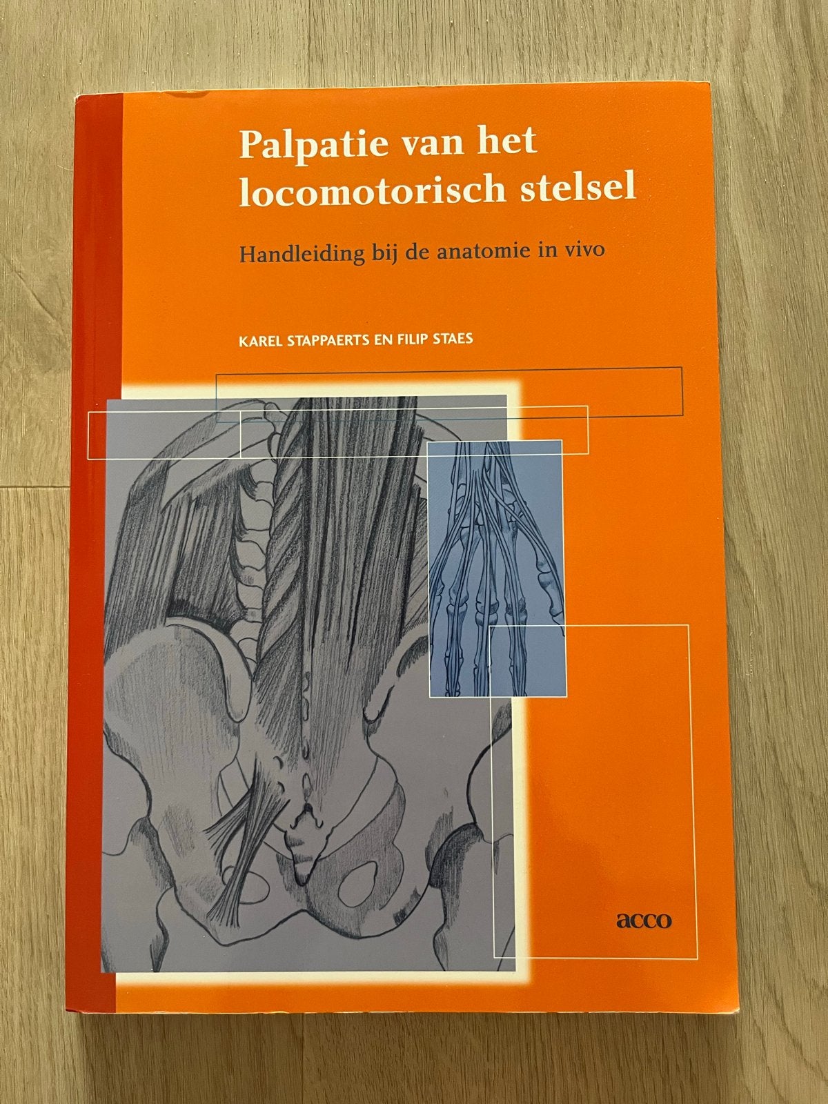 Palpatie locomotorisch stelsel - Anatomie in vivo, Boeken, Ophalen, Beta, Gelezen, WO