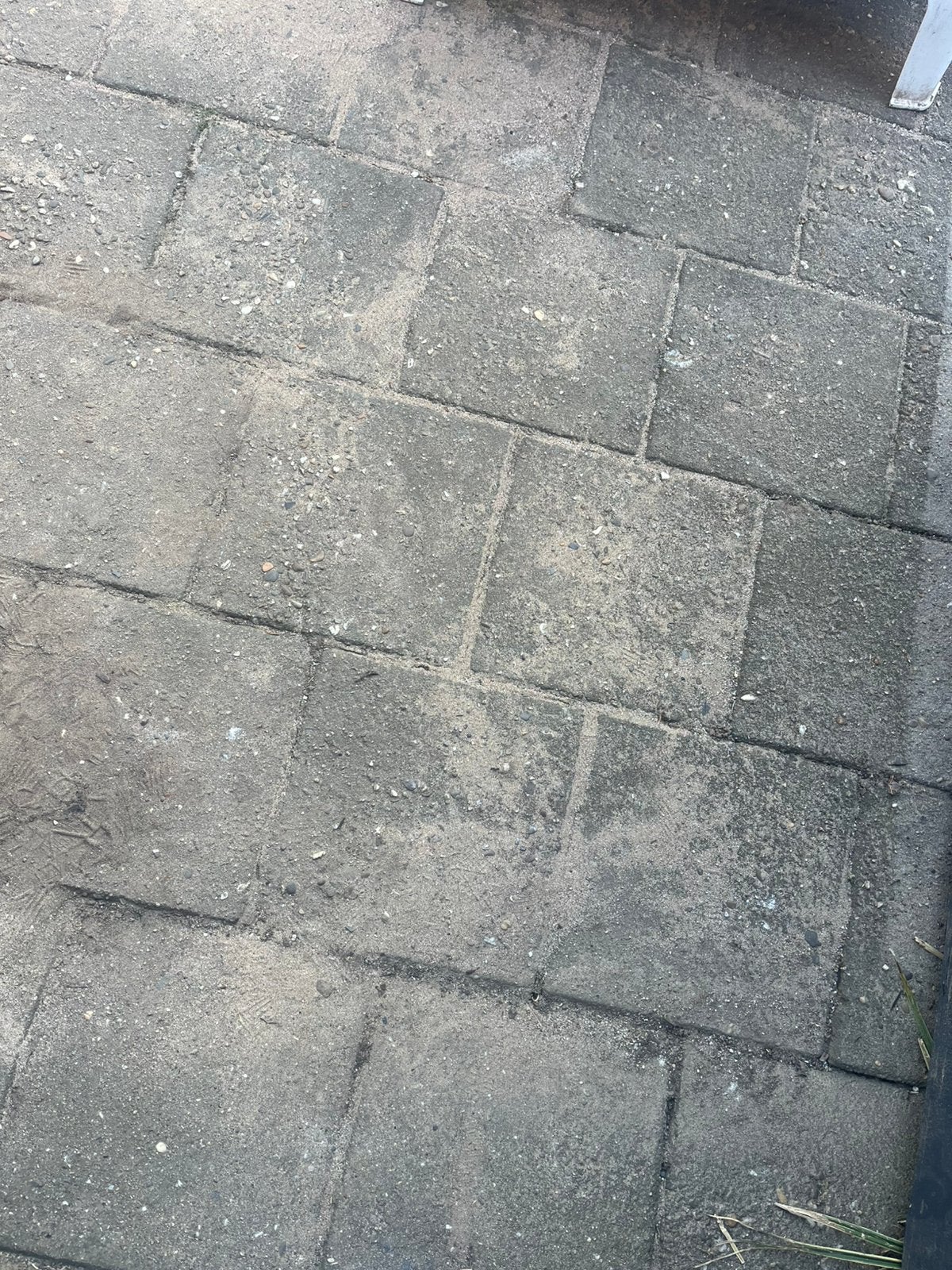 Tuintegels/stoeptegels 30 x 30 gratis op te halen - 20 m2, Ophalen, Gebruikt, 10 m² of meer, Beton