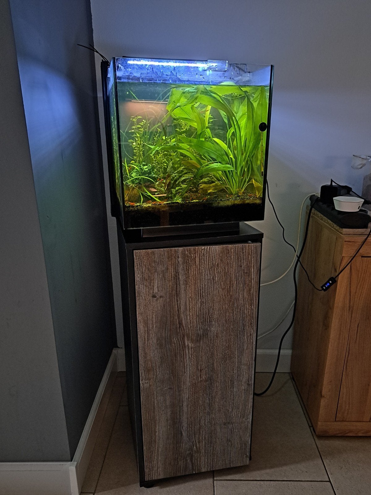 Aquarium met garnalen  en onderkast, Kreeft, Krab of Garnaal
