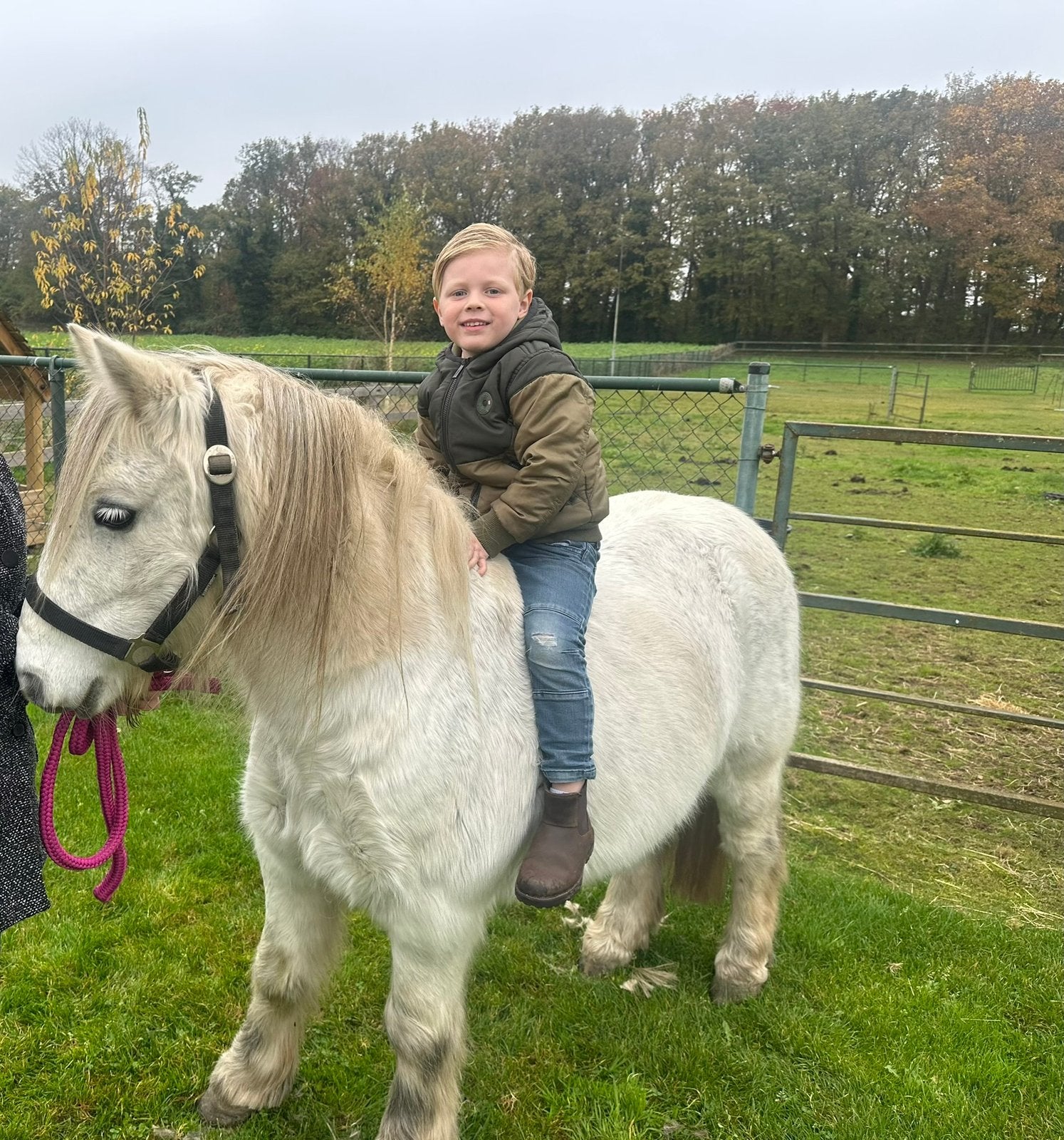 Kinderpony tinker x welsh, Ruin, B pony (1.17m tot 1.27m), 7 tot 10 jaar