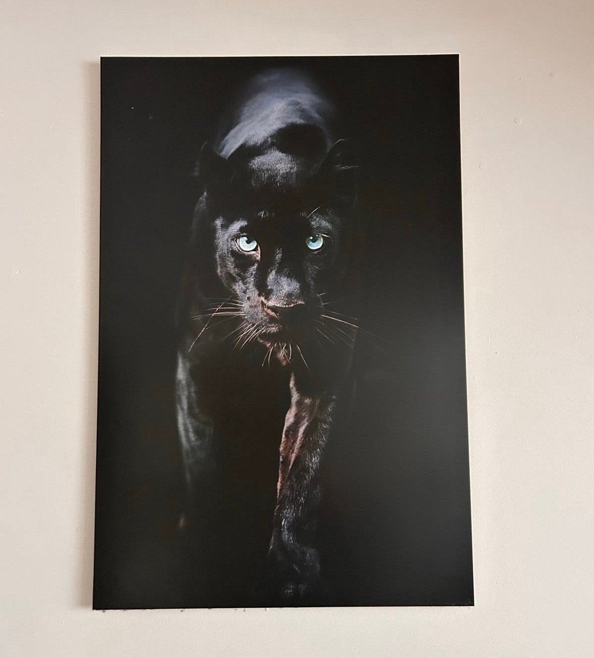 Schilderij Zwarte Panter met Heldere Blauwe Ogen, Ophalen, Dieren, Print, Op houten frame