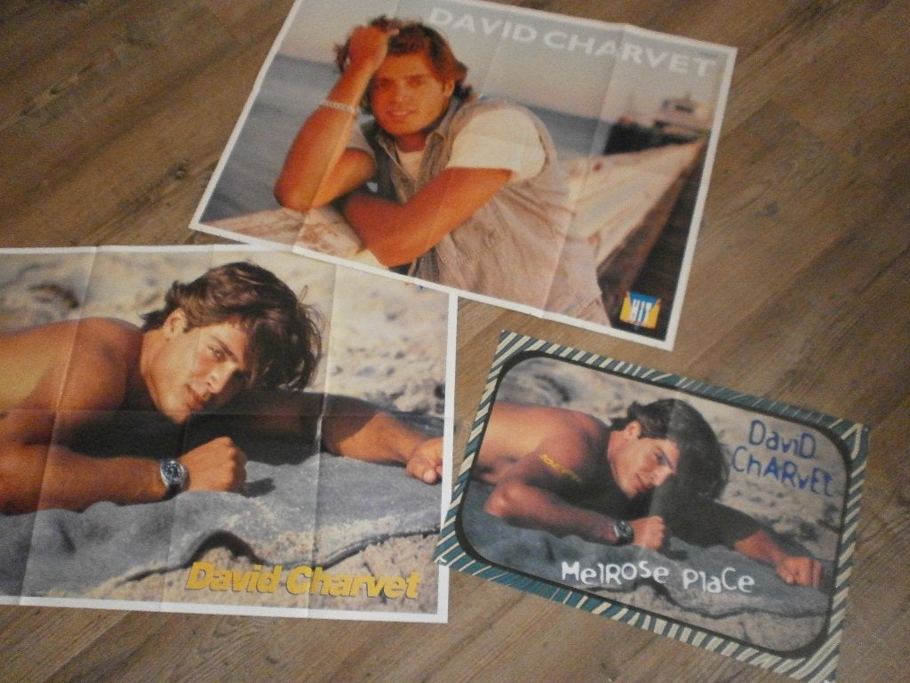3 leuke posters David Charvet , baywatch , melrose place, Ophalen of Verzenden, Zo goed als nieuw, A1 t/m A3, Film en Tv