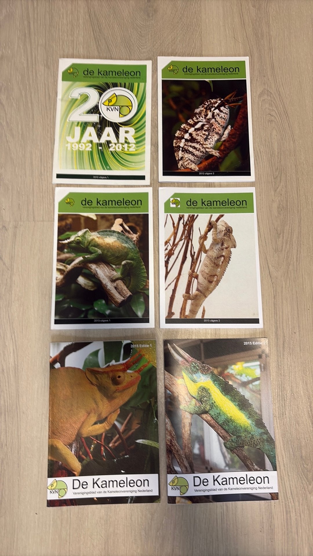 Kameleon vereniging tijdschriften, Dieren en Toebehoren, Ophalen of Verzenden, Zo goed als nieuw