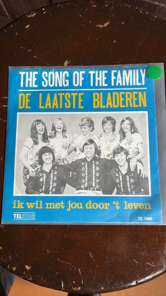 The song of the family, Cd's en Dvd's, Vinyl | Nederlandstalig, Ophalen of Verzenden, Gebruikt, Overige formaten, Levenslied of Smartlap