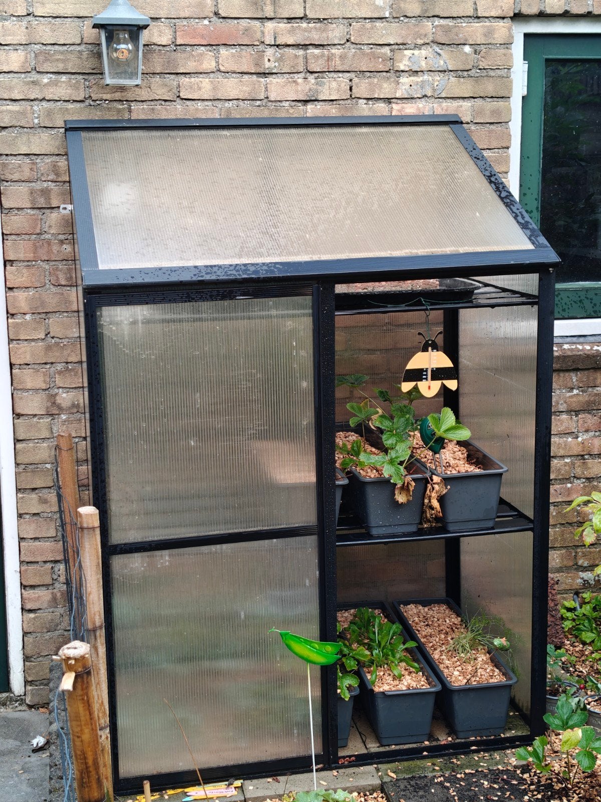Compacte kweekkas met polycarbonaat panelen, Tuin en Terras, Kassen, Gebruikt, Kweekkas, Aluminium, Polycarbonaat, Ophalen
