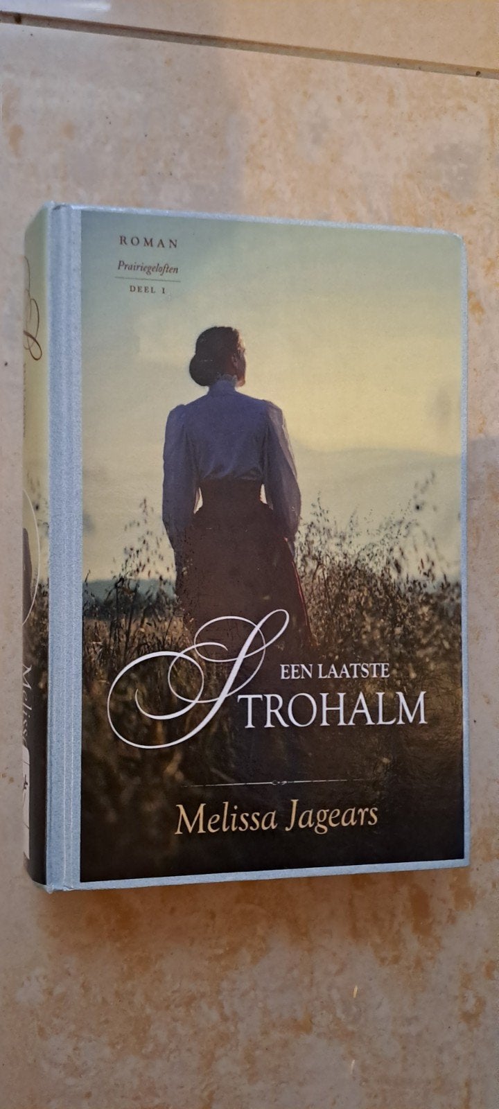 Een Laatste Strohalm - Melissa Jagears (Roman), Boeken, Ophalen of Verzenden, Gelezen, Melissa Jagears, Amerika