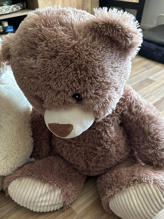 Twee zachte teddyberen - bruin en wit, Ophalen, Beer, Nieuw, Middelgroot (20 tot 80 cm)