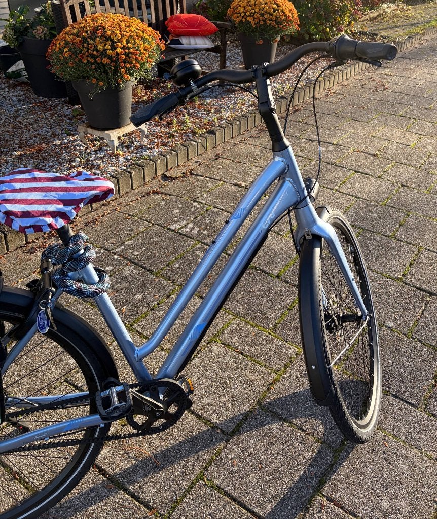 Liv Allure CS Stadsfiets, Versnellingen, Zo goed als nieuw, 50 tot 53 cm, Schijfrem