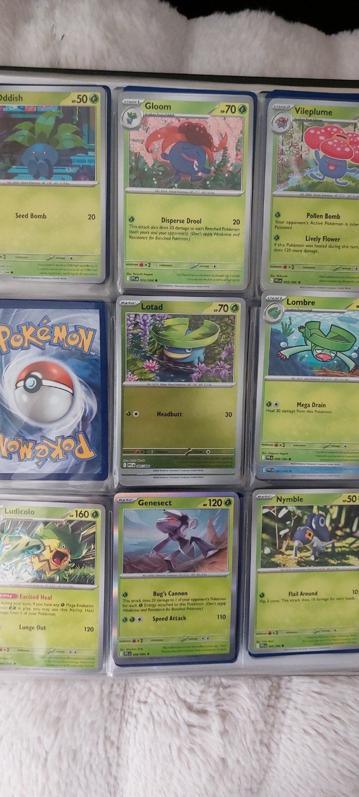 Phantasmal flames pokemon kaarten  los of samen orgineel, Hobby en Vrije tijd, Verzamelkaartspellen | Pokémon, Ophalen of Verzenden