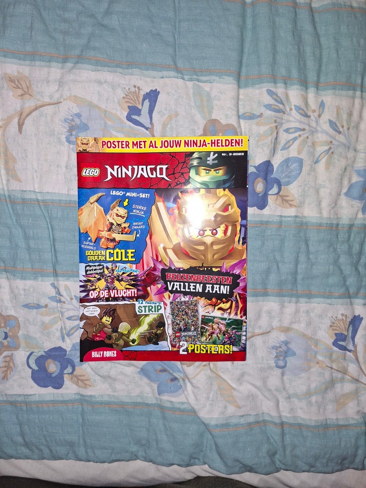 Lego Ninjago Magazine, Ophalen of Verzenden, Zo goed als nieuw, Overige typen